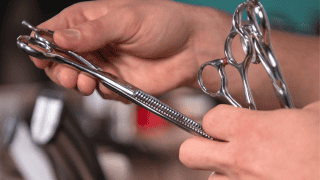 Tijeras de peluquería profesionales en manos de un experto.